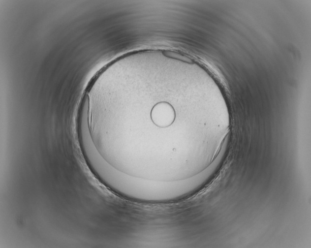 X0000111000944200907311028