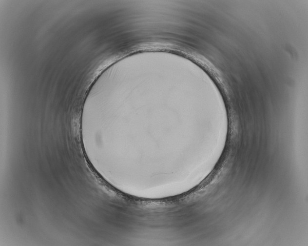 X0000111000945200907311028