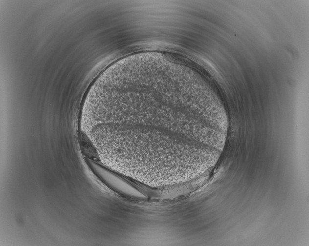 X0000111000946200907311028