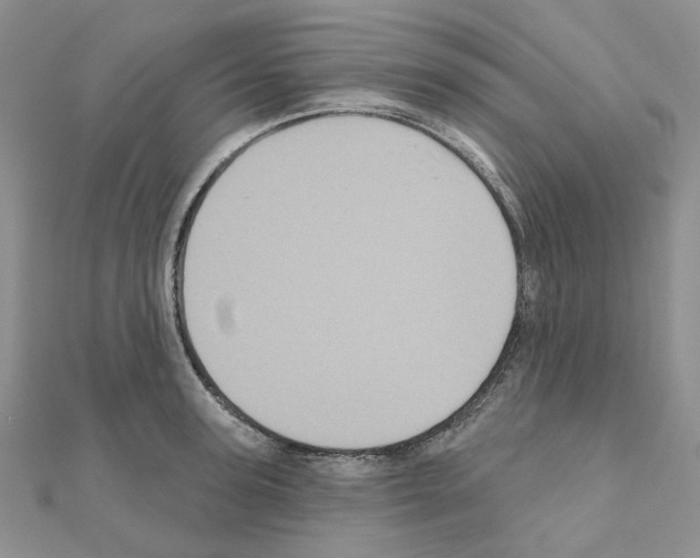 X0000111000947200907311028