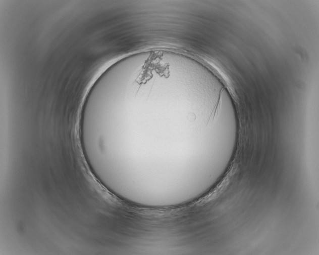 X0000111000948200907311028