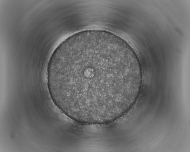 X0000111000950200907311028