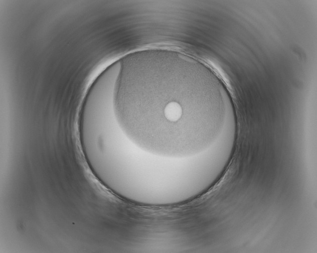 X0000111000952200907311028