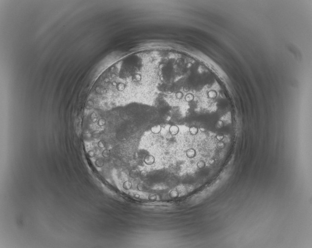 X0000111000953200907311028