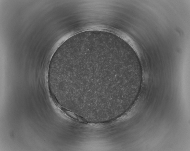 X0000111000954200907311028