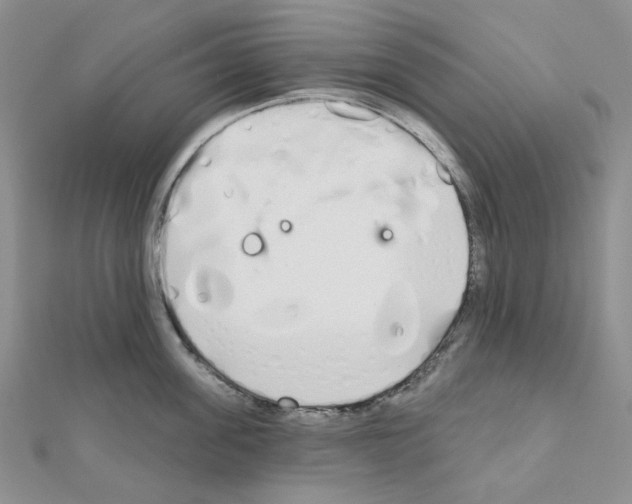 X0000111000955200907311028