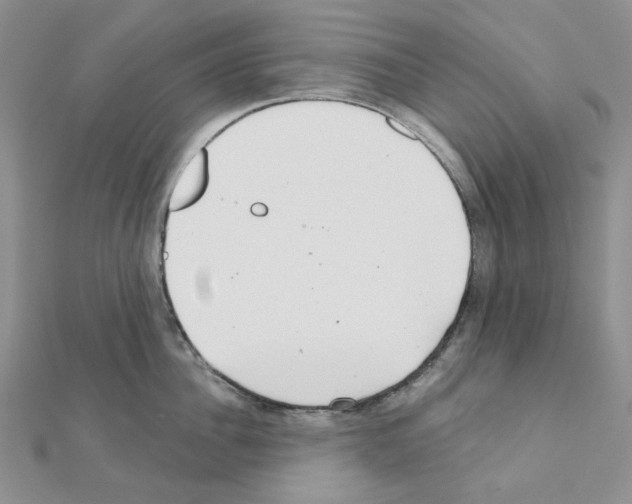 X0000111000956200907311028