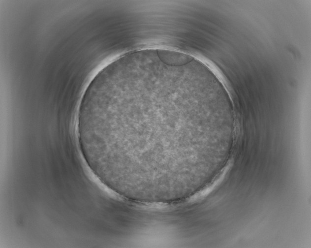 X0000111000957200907311028