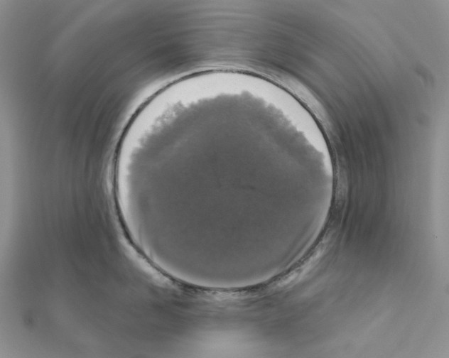 X0000111000958200907311028