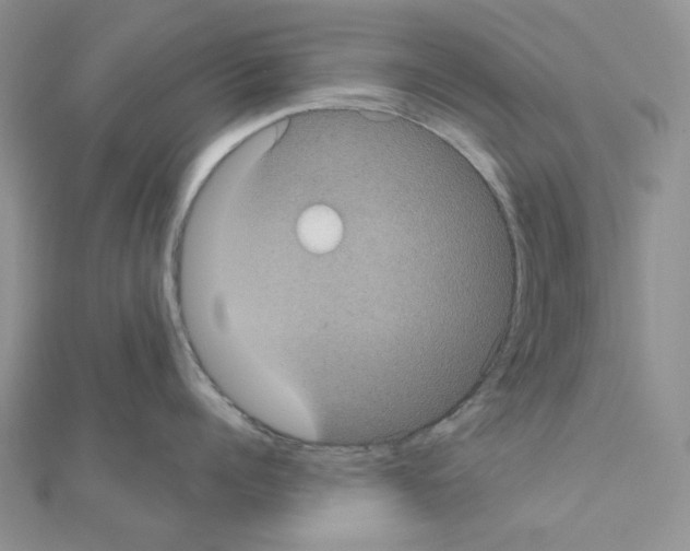 X0000111000960200907311028