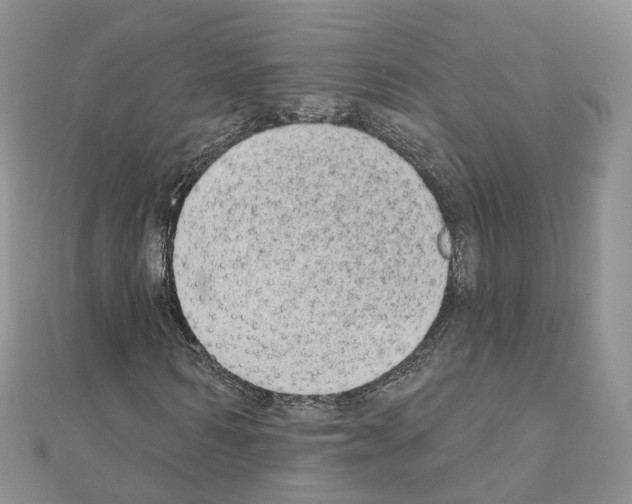 X0000111000962200907311027