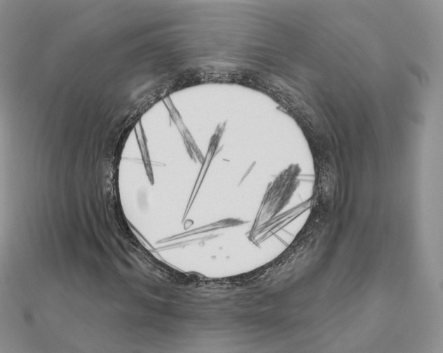 X0000111000964200907311027