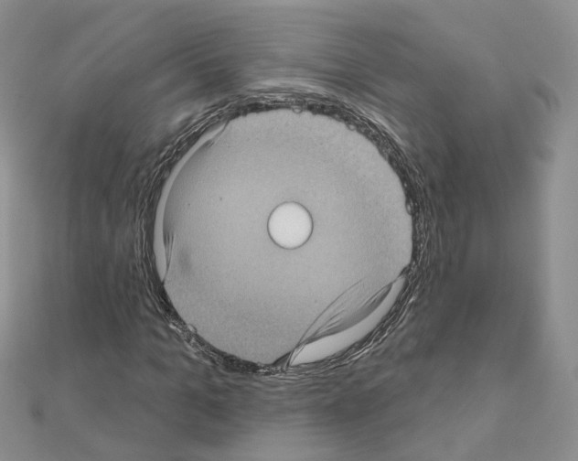 X0000111000965200907311027