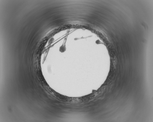 X0000111000968200907311027