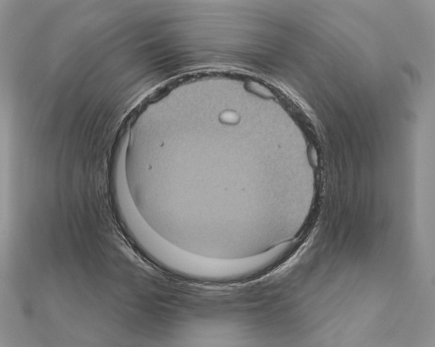 X0000111000969200907311027