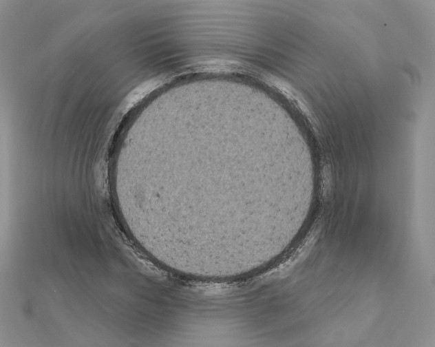 X0000111000970200907311027