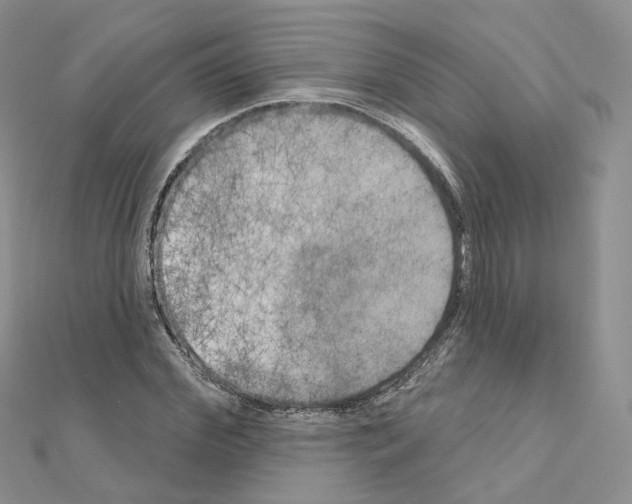 X0000111000972200907311027