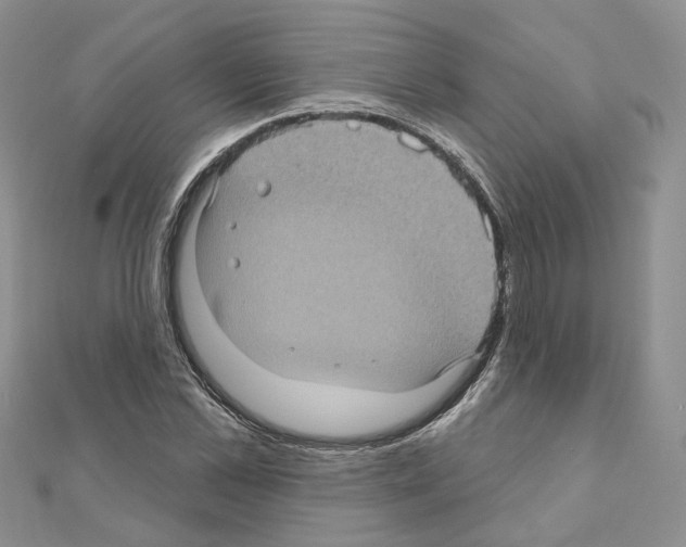 X0000111000973200907311027