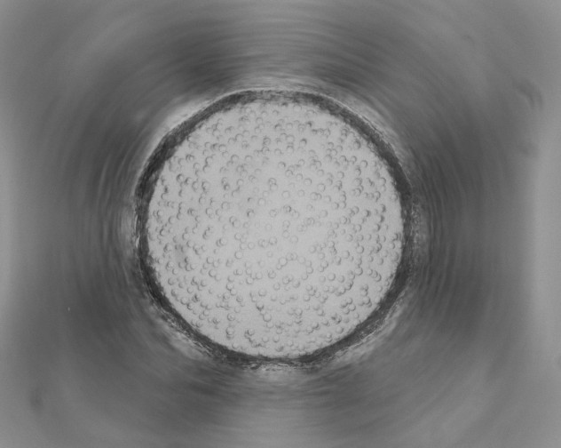 X0000111000974200907311027