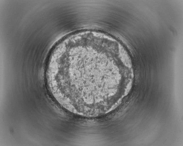 X0000111000975200907311027