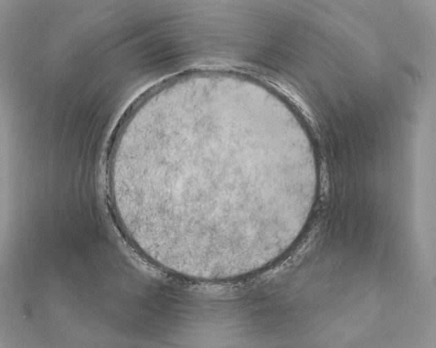 X0000111000976200907311027