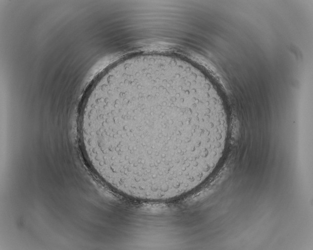 X0000111000978200907311027