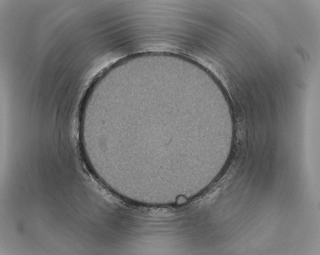 X0000111000979200907311027