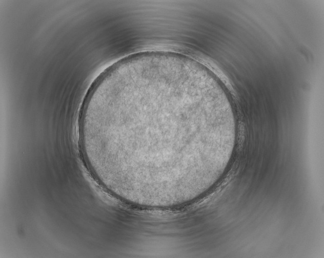 X0000111000980200907311027