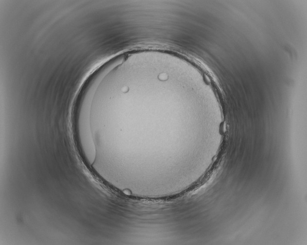 X0000111000981200907311027