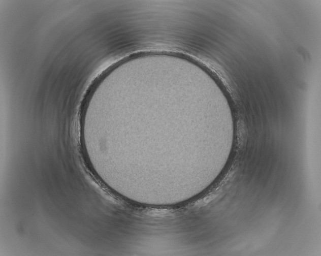 X0000111000982200907311027