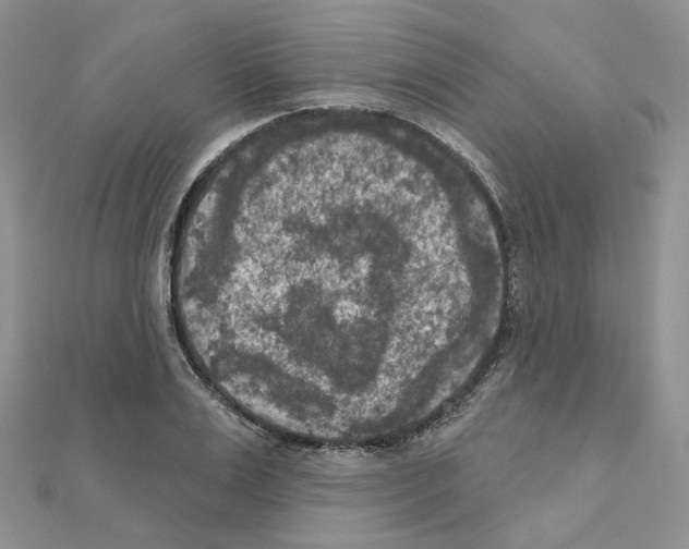 X0000111000983200907311027