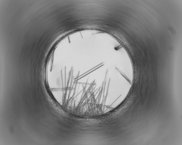 X0000111000984200907311027