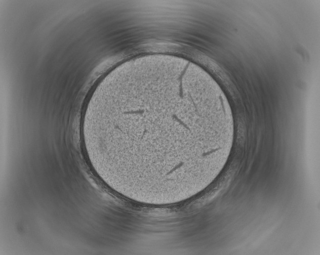 X0000111000986200907311027