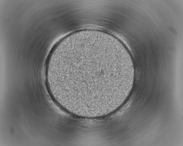 X0000111000987200907311027