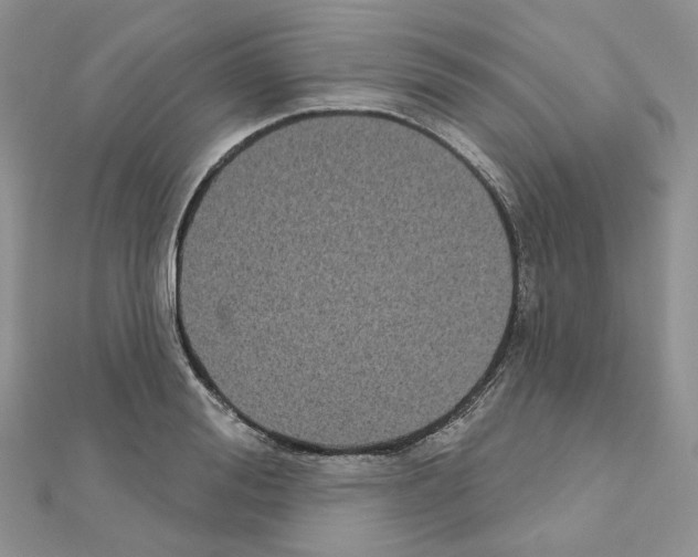 X0000111000988200907311027