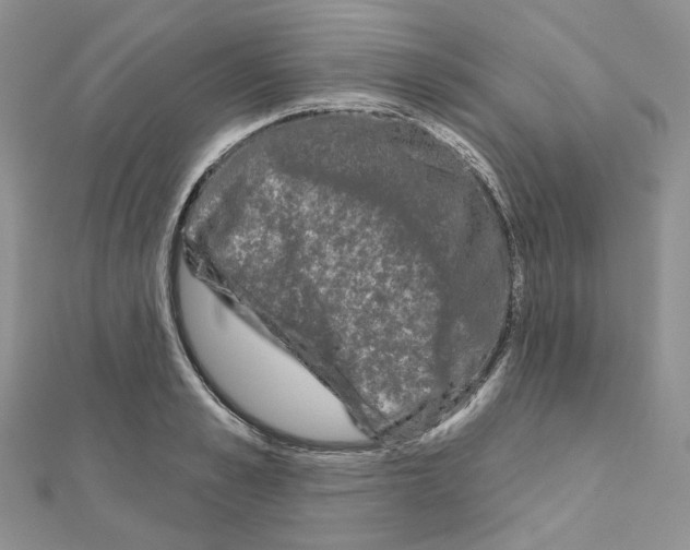 X0000111000989200907311027