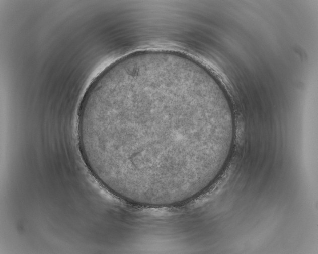 X0000111000990200907311027