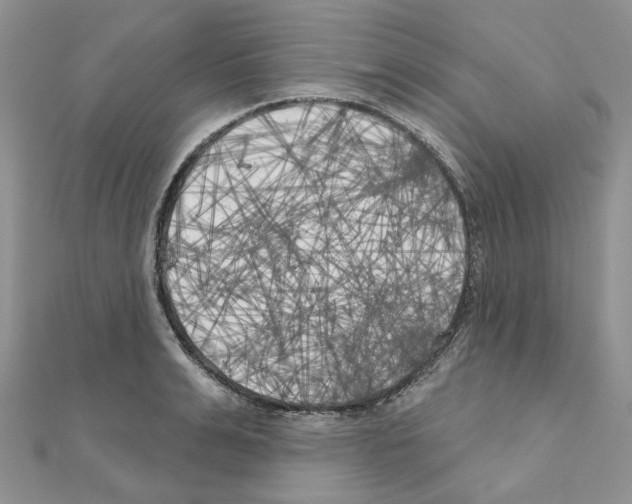 X0000111000991200907311027