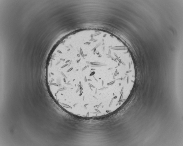 X0000111000992200907311027