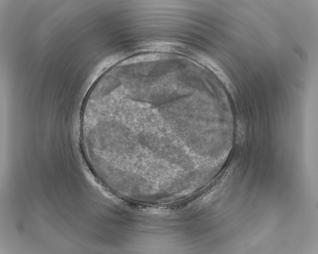 X0000111000994200907311027