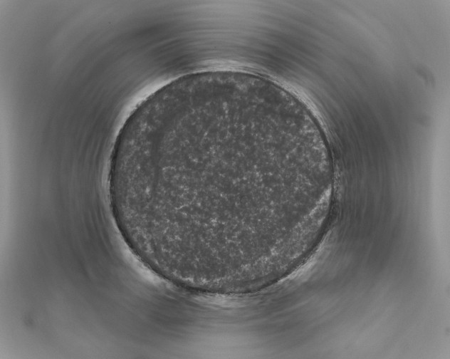 X0000111000995200907311027