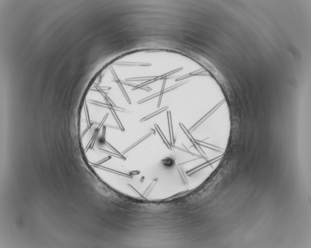 X0000111000996200907311027