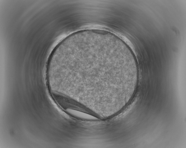 X0000111000997200907311027