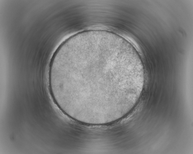 X0000111001000200907311027