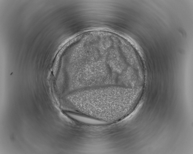 X0000111001001200907311027