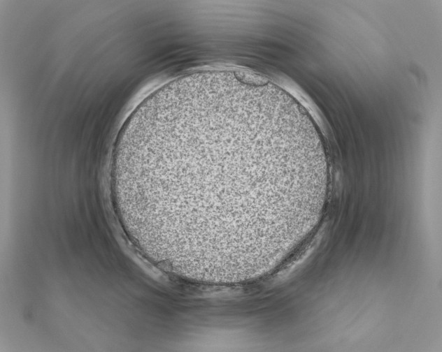 X0000111001002200907311027