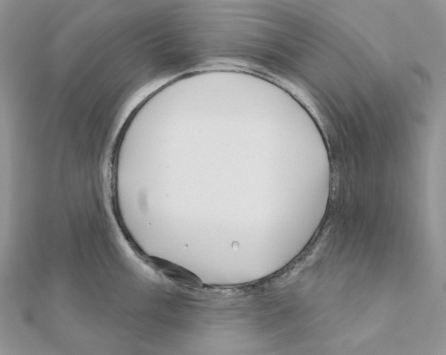 X0000111001003200907311027