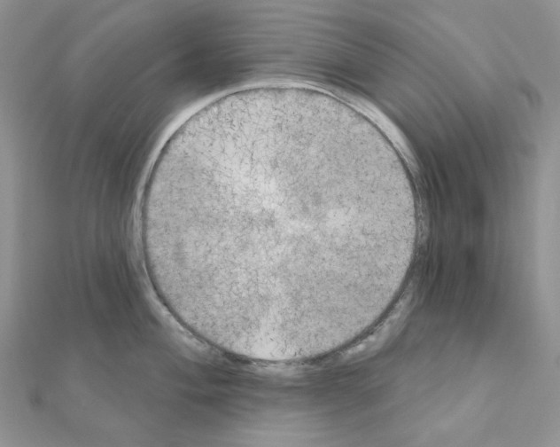 X0000111001004200907311027