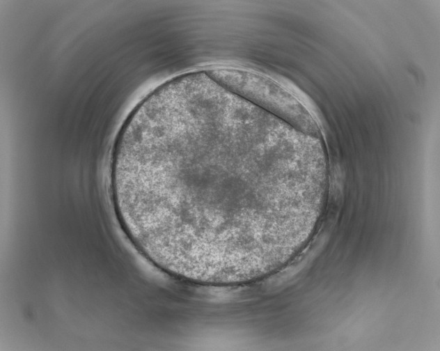 X0000111001005200907311027