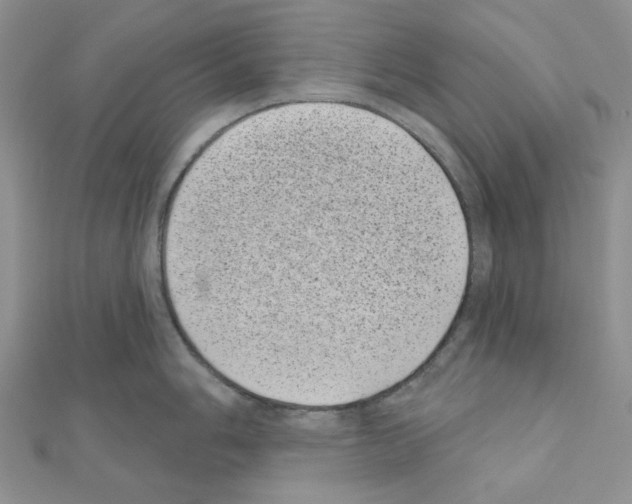 X0000111001006200907311027